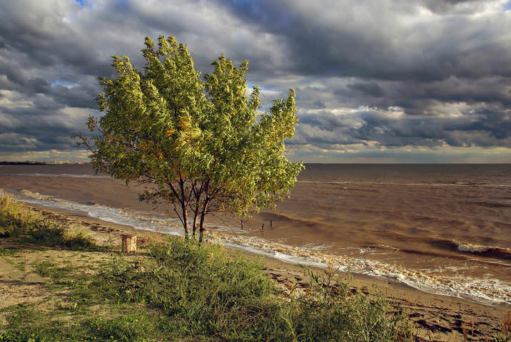Азов
