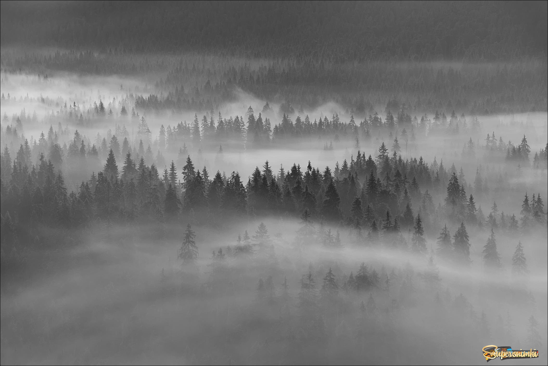 Долина в тумане