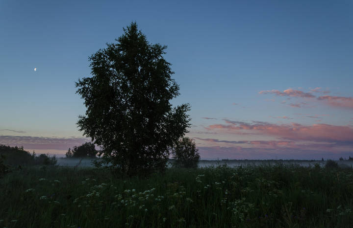Первые краски рассвета
