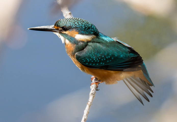 # 5