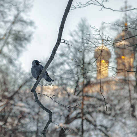 Красивое увидеть в некрасивом...