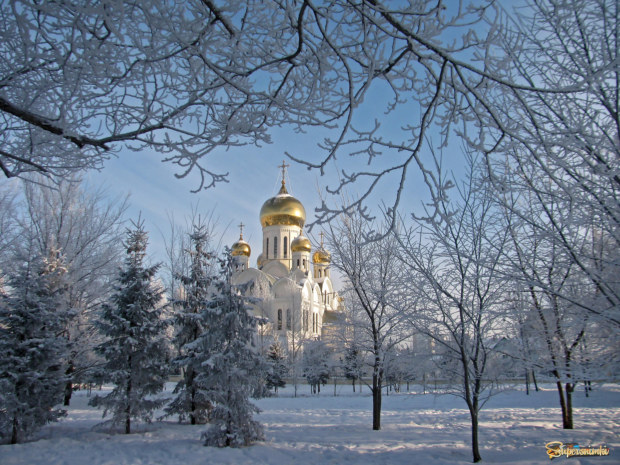 Троицкий сквер Новосибирск зимой