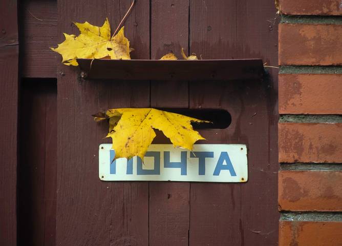 Осенние новости