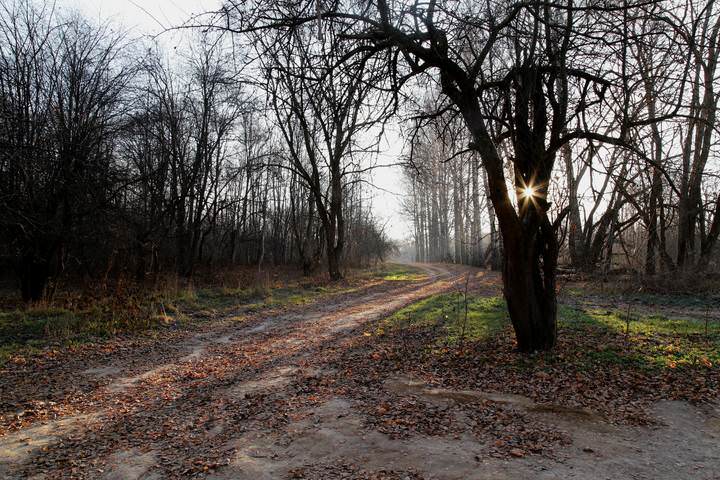 Утро осеннее