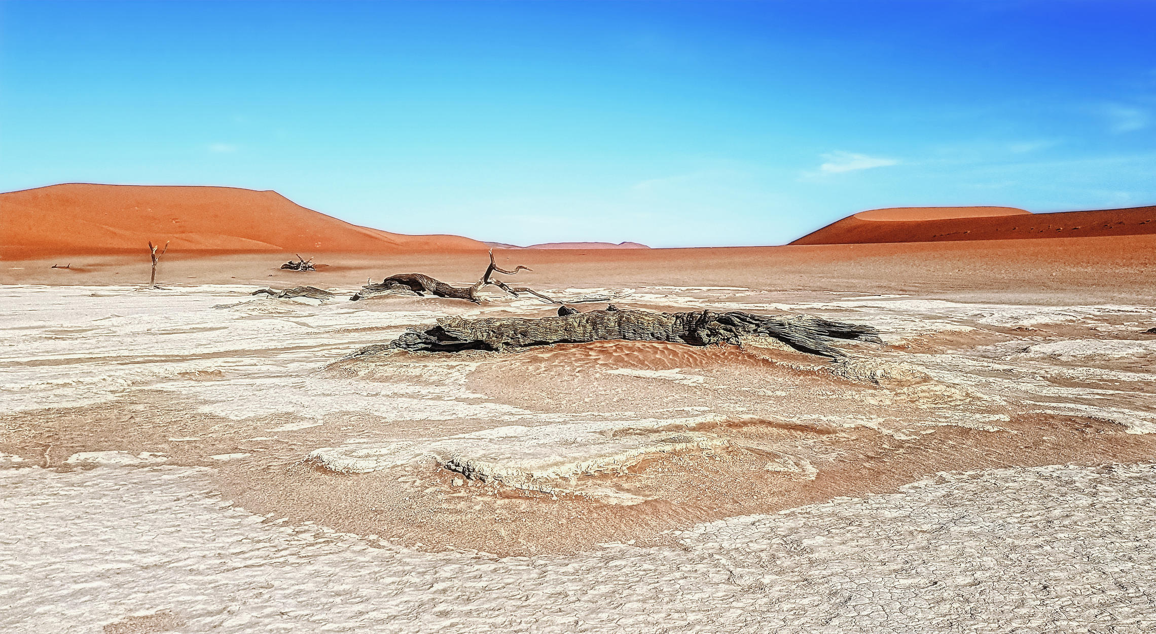 Пустыня Намиб, Соссусалеи