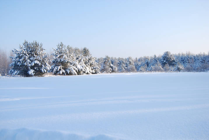 Зима. Мороз.