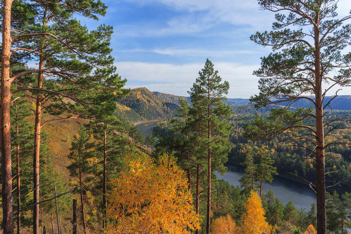 Осеннее настроение
