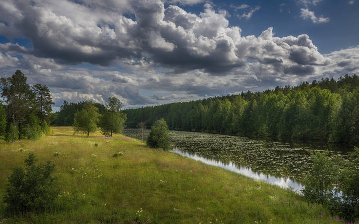 Суна