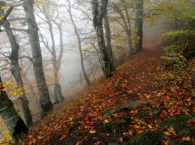 Горными тропами...... 