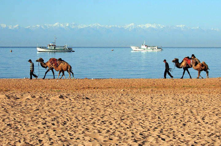 "Корабли" пустыни и моря