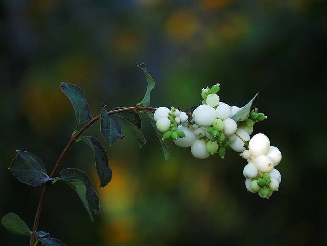 Из сентября )