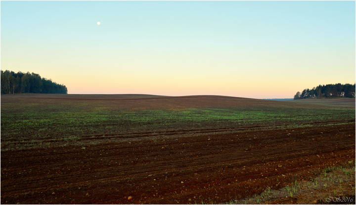 лунное утро