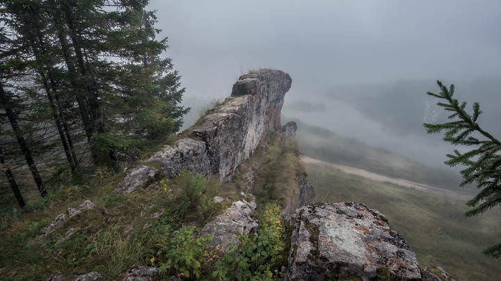 Гребешок