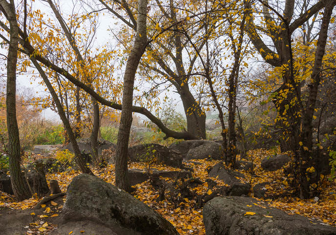 Осенний рассвет