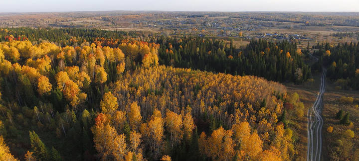 Затерянная в тайге