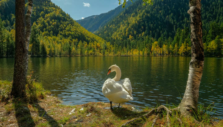 Однажды в сентябре...