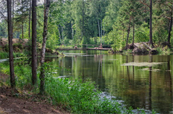 Летом на озере