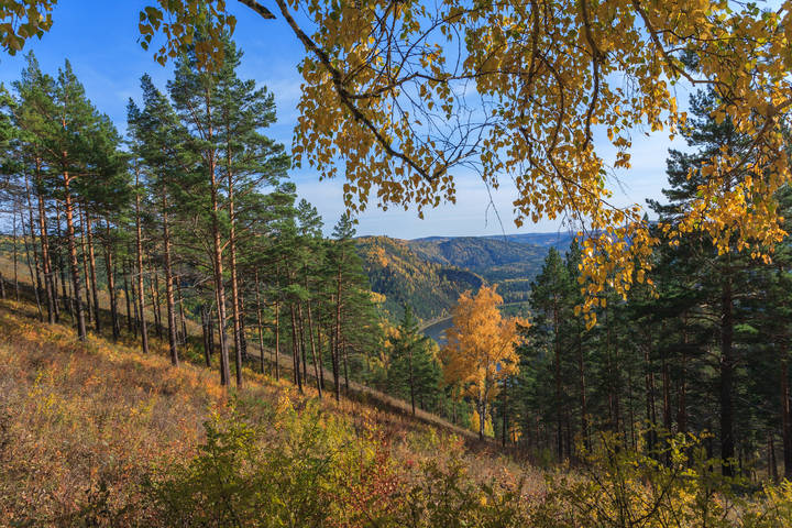 Краски осени Сибирской