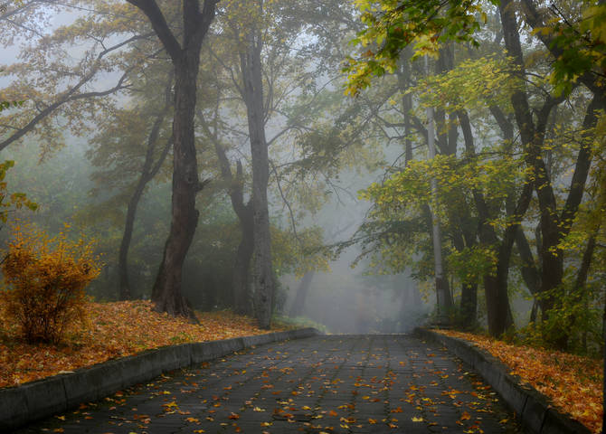 В парке осеннем.......  