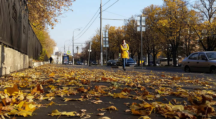 Московский листопад