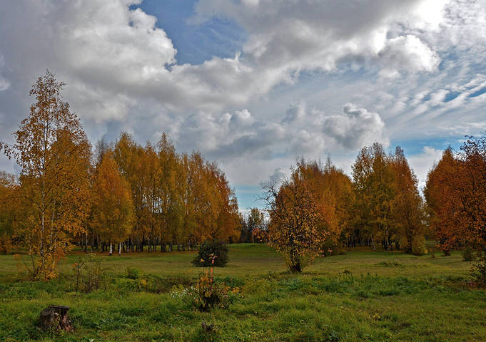 Осенняя пора