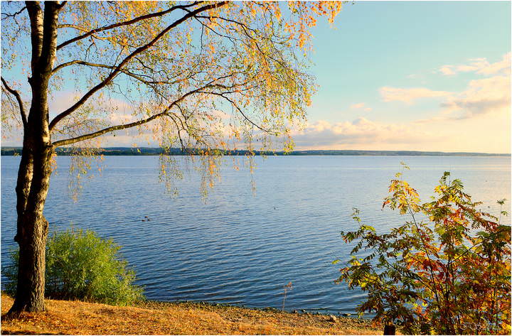  в последние дни лета