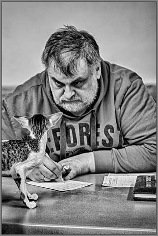 ДОПРОС О ПРОПАЖЕ КОЛБАСЫ