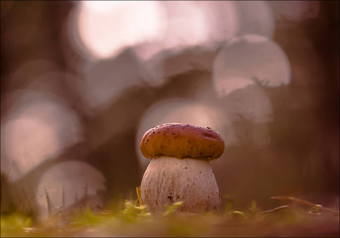 # 4