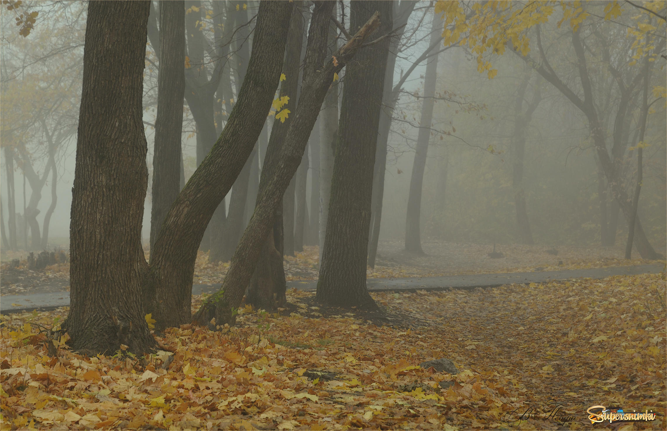 Осенний туман