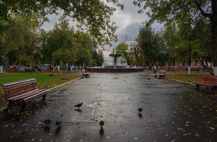 Одна из осенних страниц