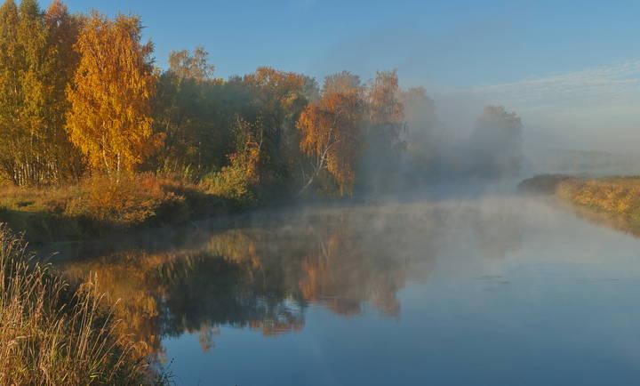 ***