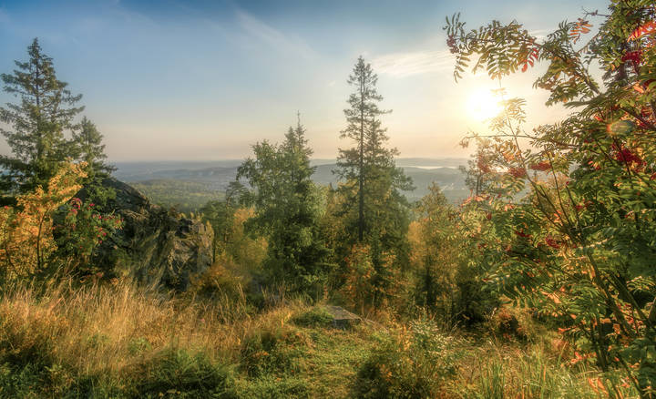 Солнечное осеннее утро