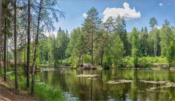 Летний отдых на озере