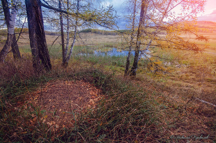 Осень