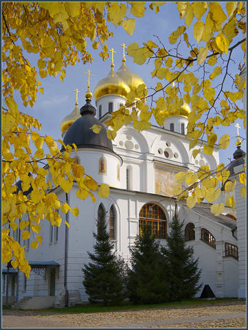 Золото Дмитрова