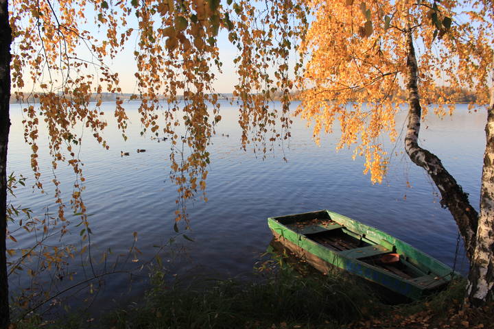 Осенние краски