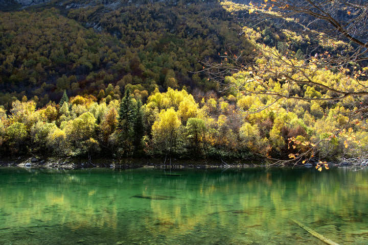 Краски осени