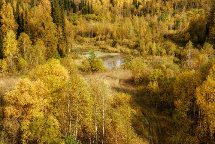 Золотая осень.