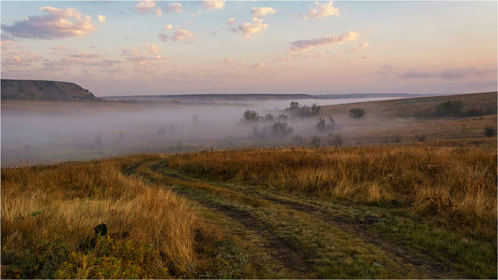 Туманные призраки.