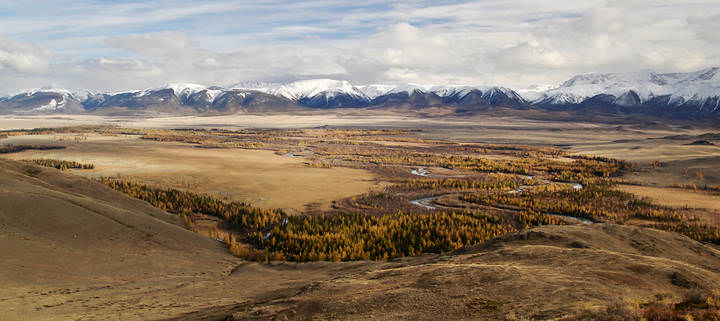Курай