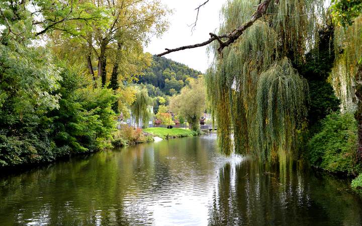 Neckar в Октябре