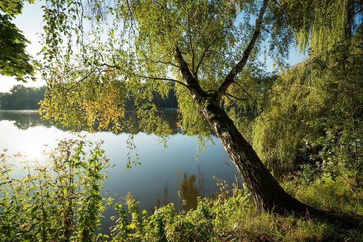 Встречая солнце