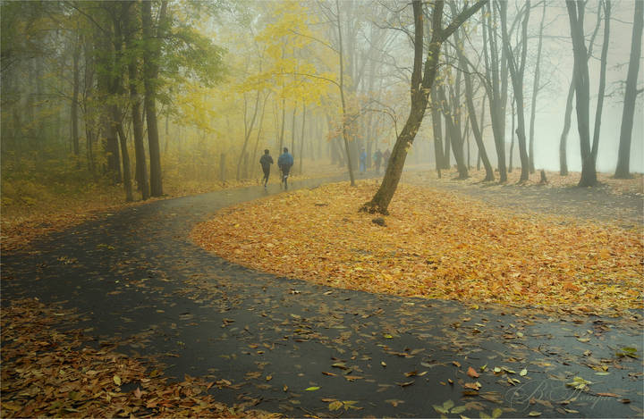 Осеннее утро