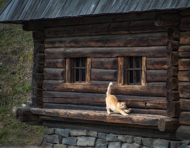 # 4
