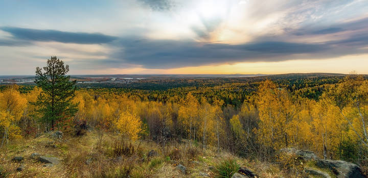 Панорама осени