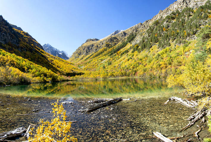 Осенью
