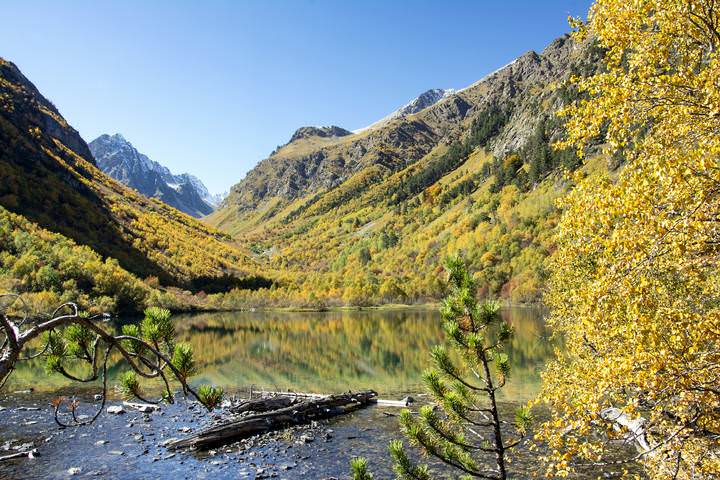 Осенью на озере