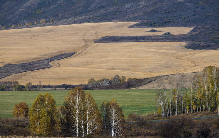 Осень