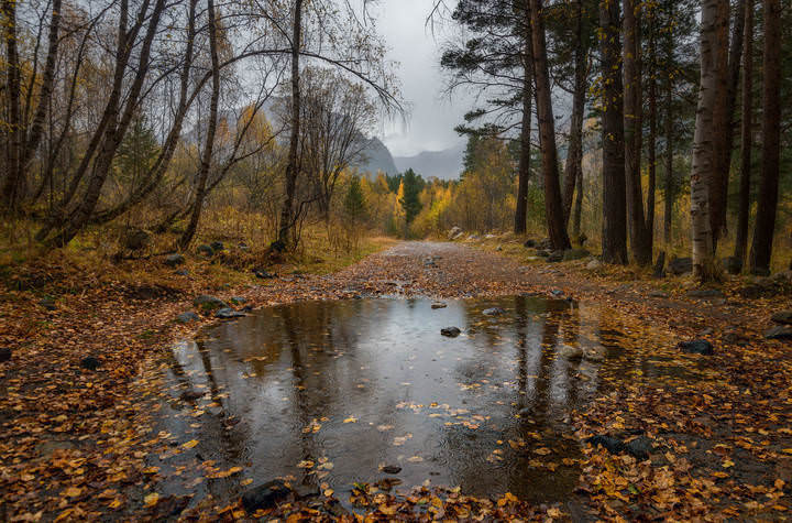 В Терсколе дождь