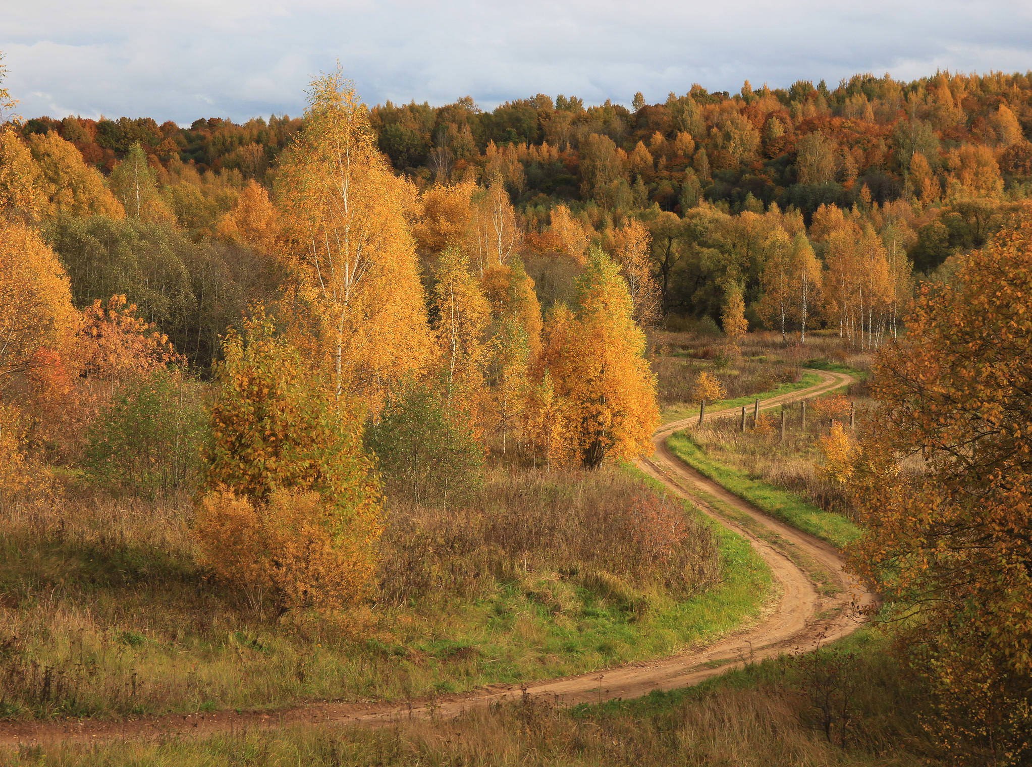 Дорога в осенний лес.